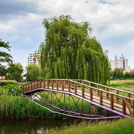 Colour Flat Проживання в сім'ї *