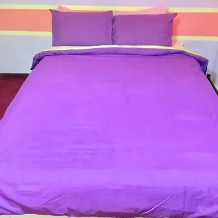 Colour Flat Проживання в сім'ї *